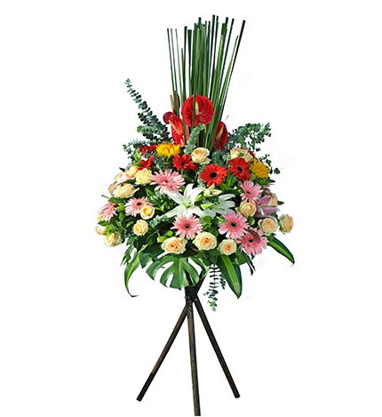 花店提供大量款式開張花籃，優惠價格，於指定吉時送花