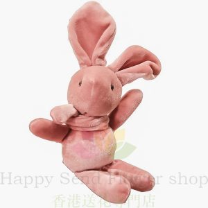 Korean small teddy wishing bunny