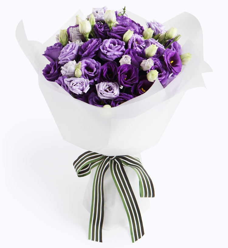 Unchanging love only for you (purple platycodon)