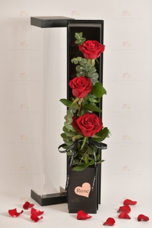 3 stems imported rose gift box (3 stems red roses, eucalyptus)