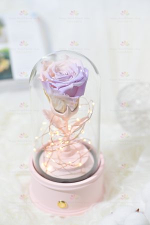 Eternal Flower Single Rose Bluetooth Speaker (Purple Pink)