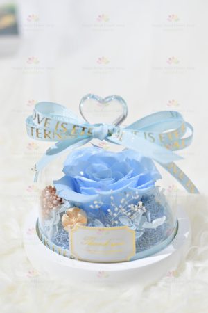 Wholeheartedly Preserved Flower Rose Decoration (Sky Blue Without Light) (2021 Valentine's Day Bouquet Series)
