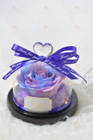 Wholeheartedly Preserved Flower Rose Decoration (purple blue with light) (2021 Valentine's Day Bouquet Series)