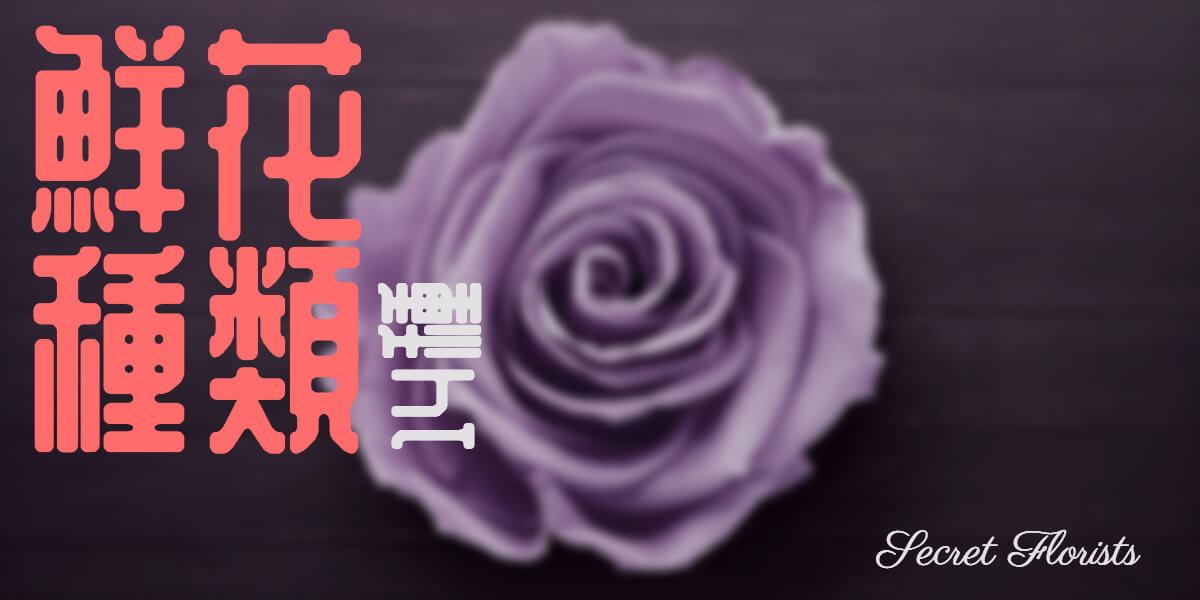 鮮花種類介紹 Hk Happy Send Flower Shop